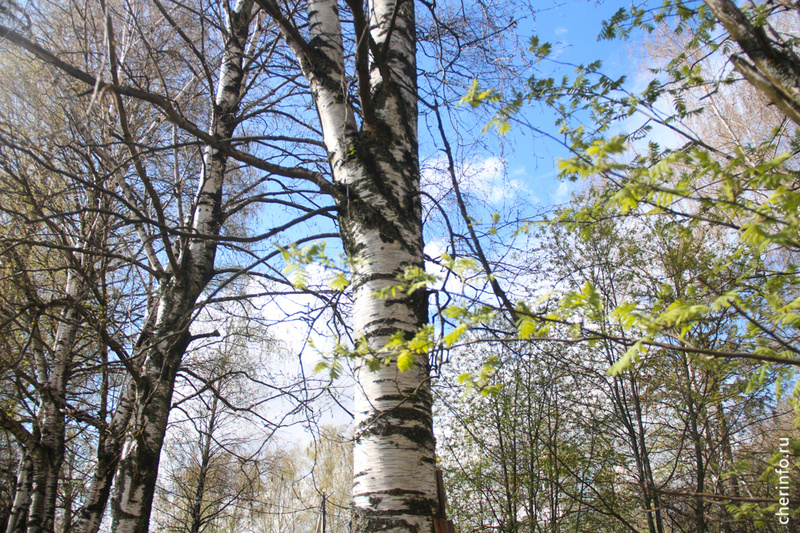    Об этом он заявил на оперативном совещании с членами правительства и главами городов и округов.