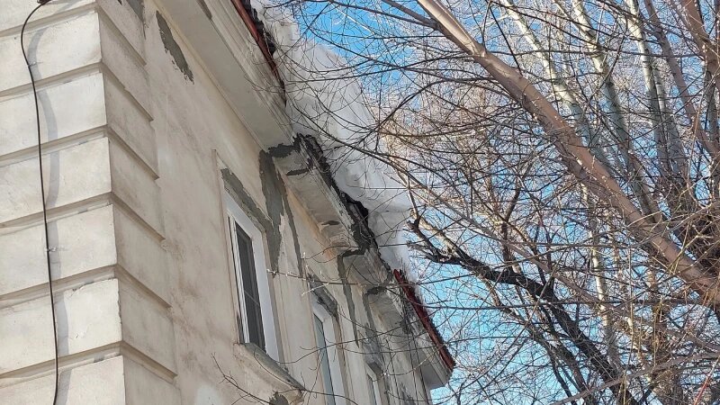     Матросова 3 в Барнауле Анна Зайкова