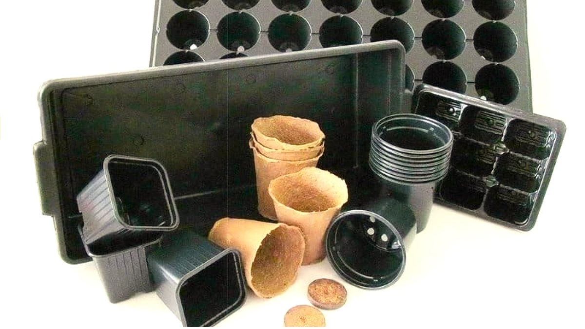 Тара для рассады перца