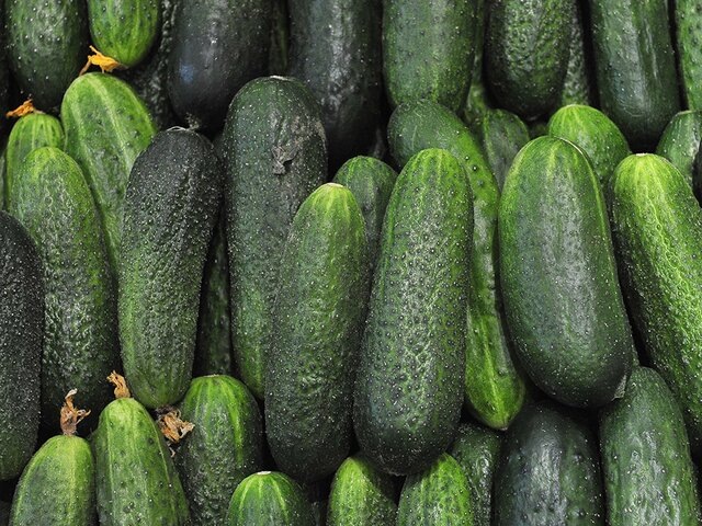    Фото: портал мэра и правительства Москвы