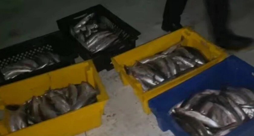    Фото: ГУ МВД по Иркутской области