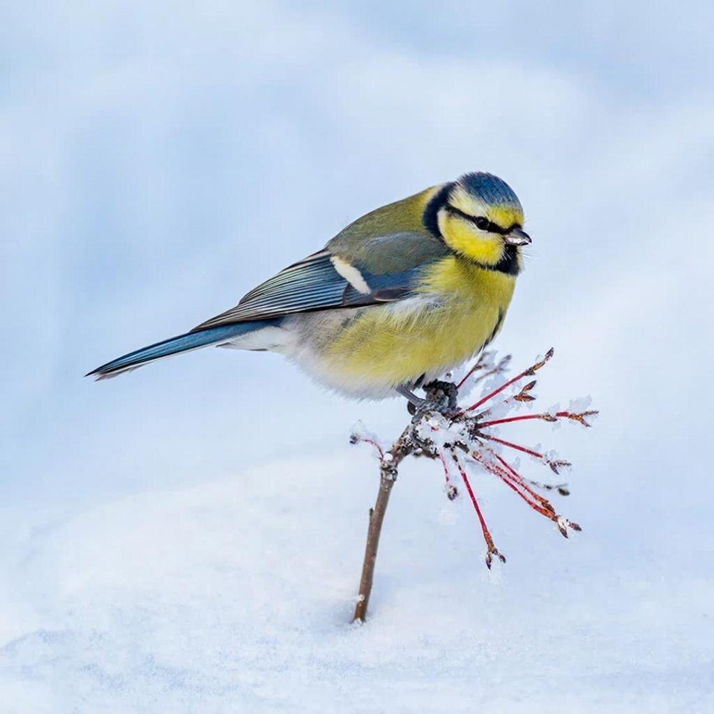 Сгенерировано ИИ