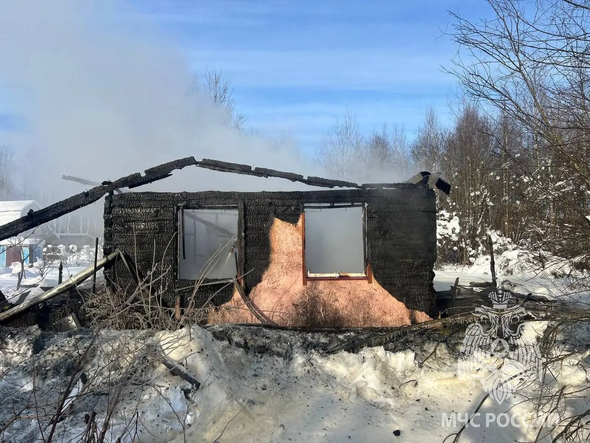    Фото: пресс-служба ГУ МЧС России по Ленобласти