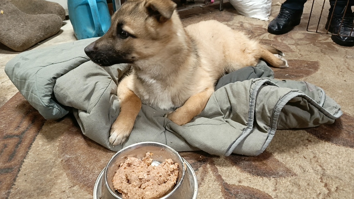 "У вас тут здорово!"