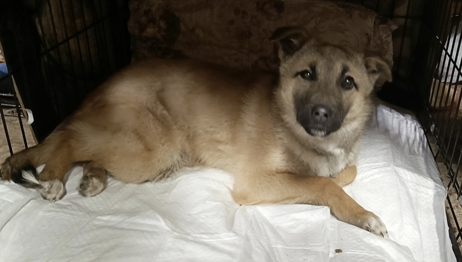 Маленькая совсем.