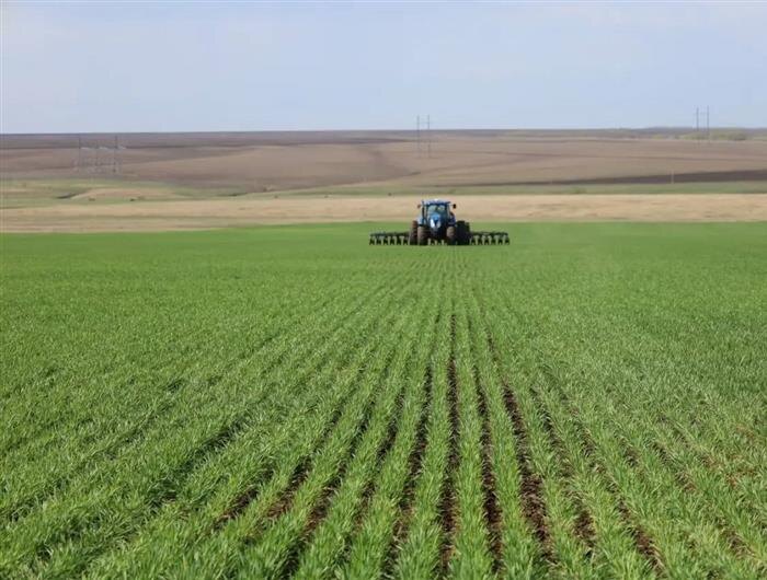    ФОТО: ГБУ ДПО "Самара-АРИС"