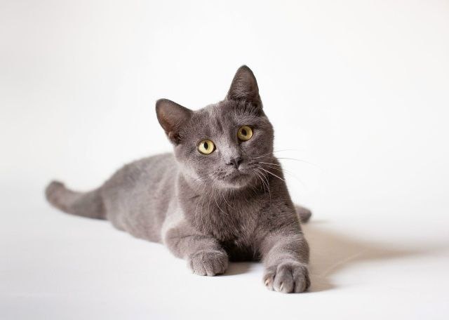 Москва и МО