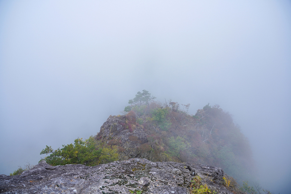    Shutterstock/FOTODOM