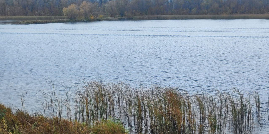 Тайна любовницы. Глава 15.