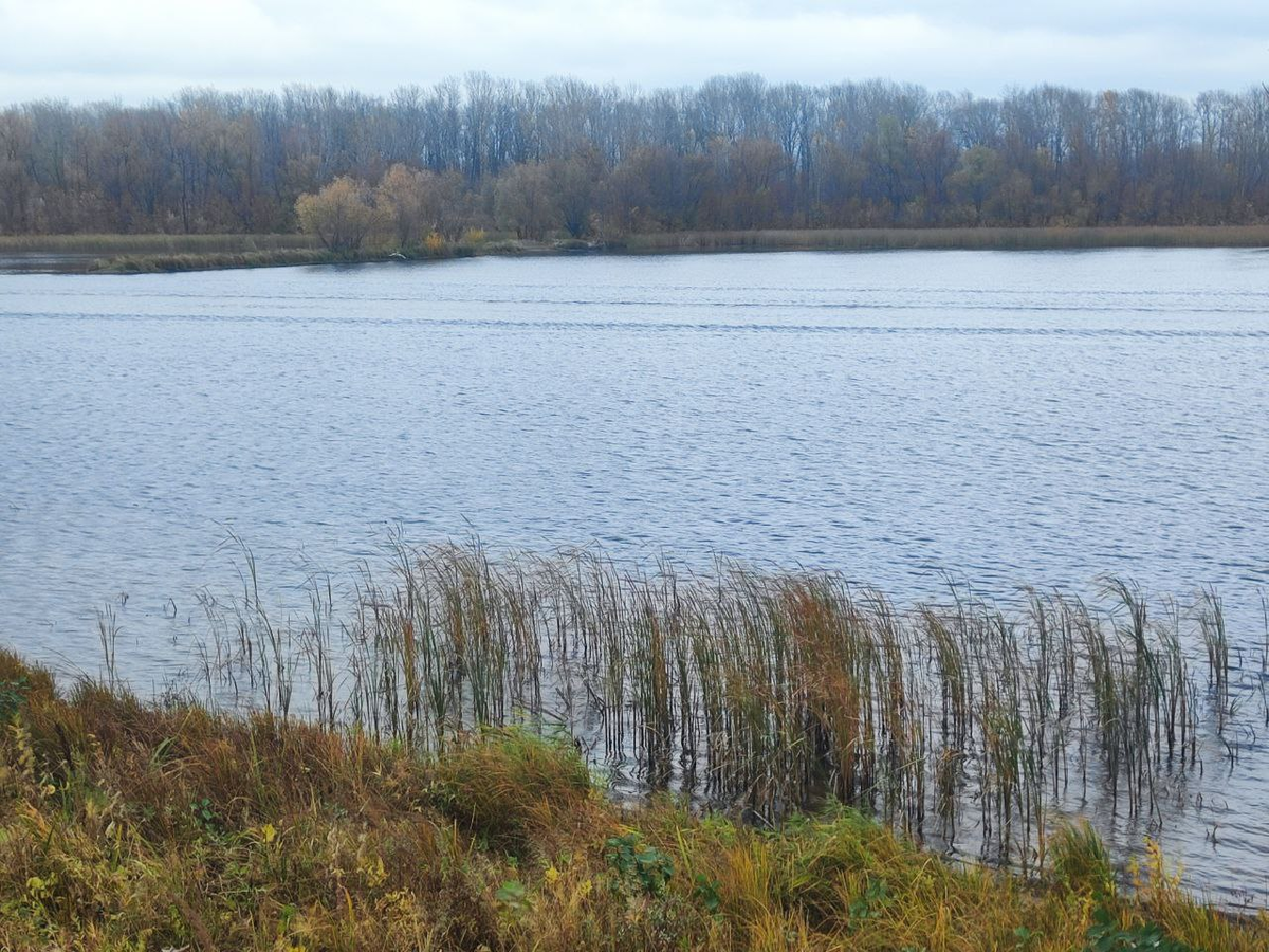 Фото автора.