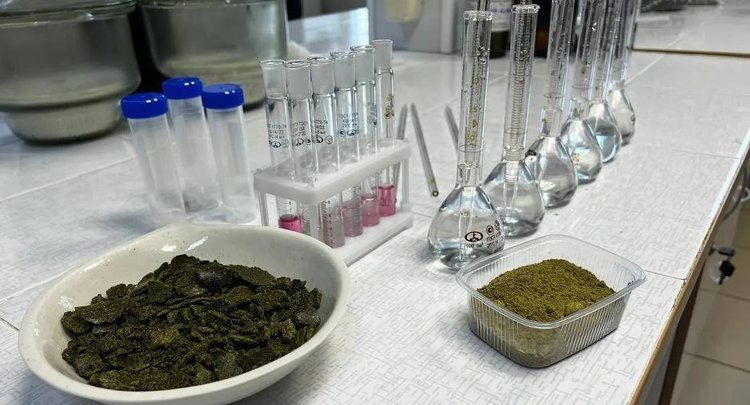    Фото: ФГБУ ЦОК АПК