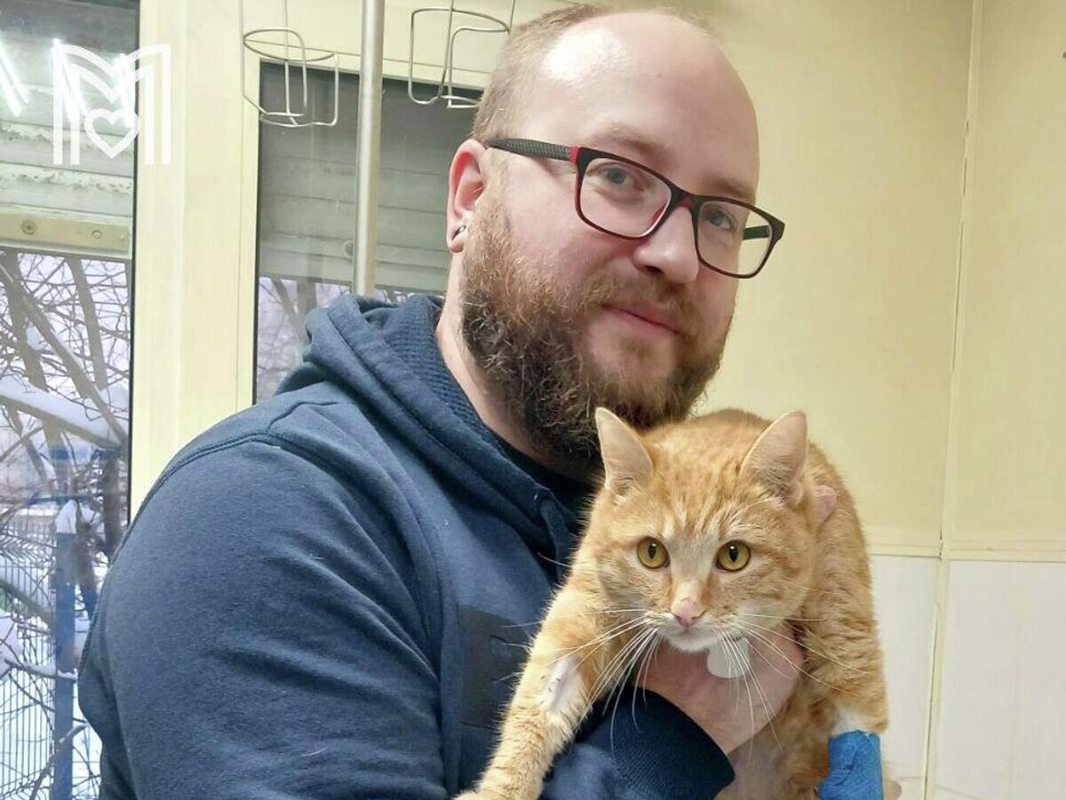    Кот по кличке Лисенок | © Фото : ГБУ "Мосветобъединение"