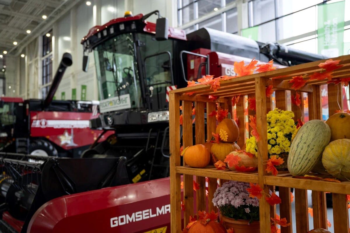 Фото: Александр Плонский / «Агроэксперт»