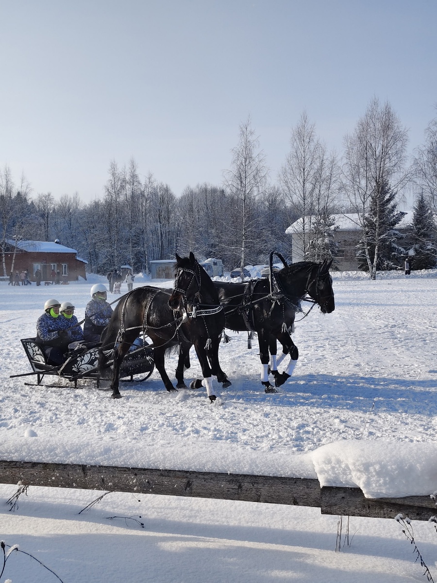 Фото: Газета Вологодского округа "Маяк"