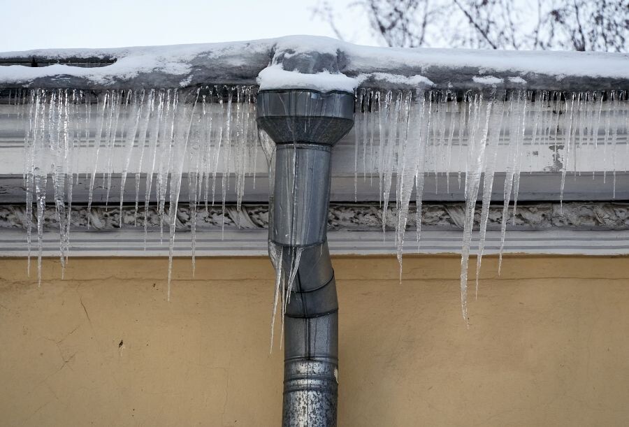     / Источник: © Алексей Даничев/РИА Новости