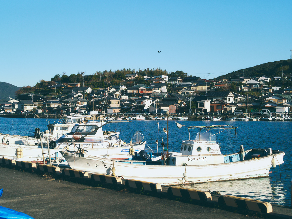 Рыбацкий порт, город Исахая, 2024