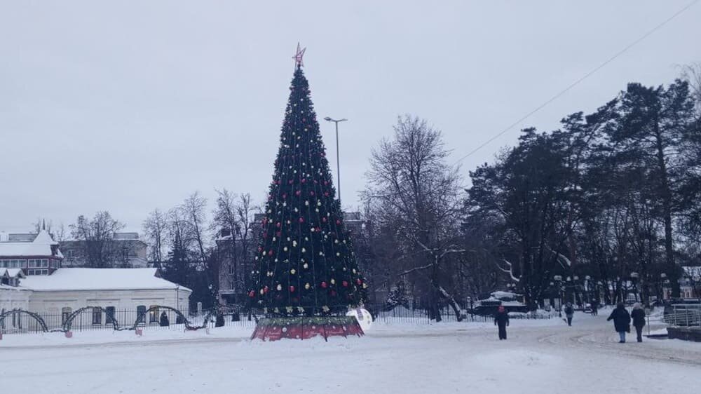    Фото: «Брянские новости»