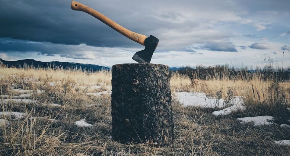 «Ты не сможешь меня убить»: пьяный россиянин на спор зарубил приятеля топором