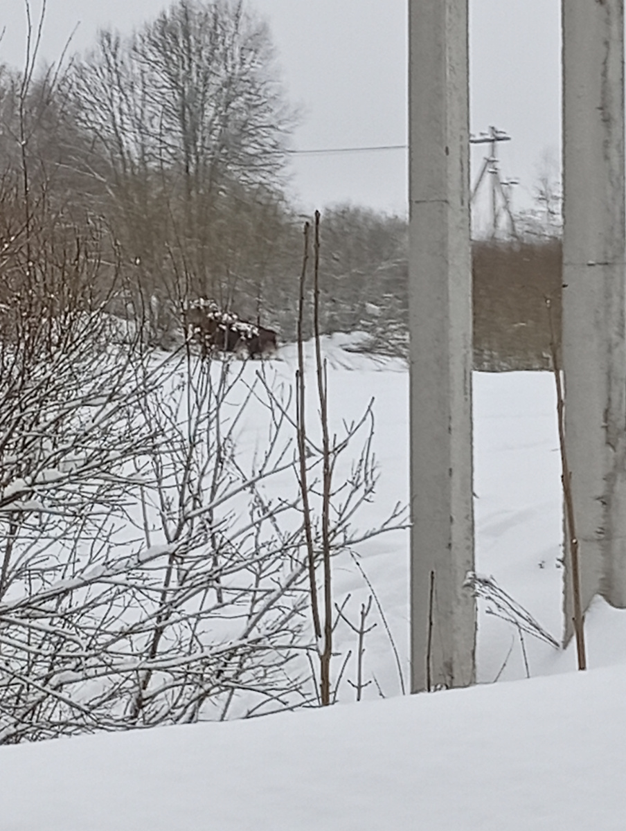 Их там трое было