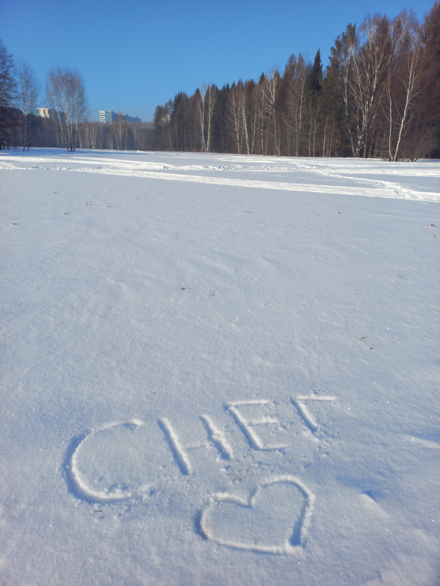 Наш лесопарк на окраине города