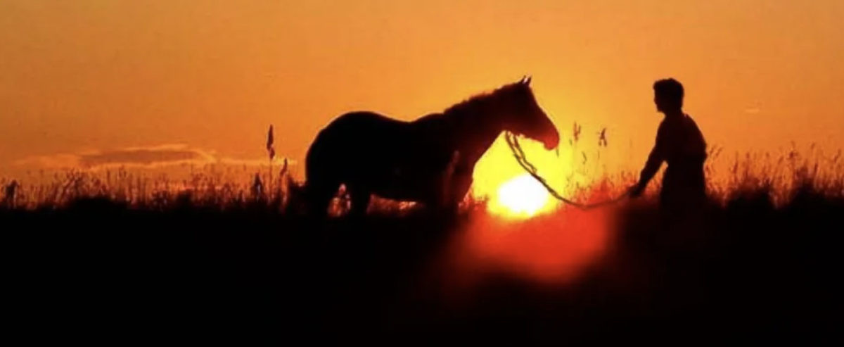 Фото из. Яндекса. Спасибо автору. 