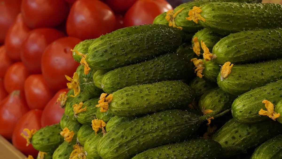    Фото: vm.ru Диана Петровская