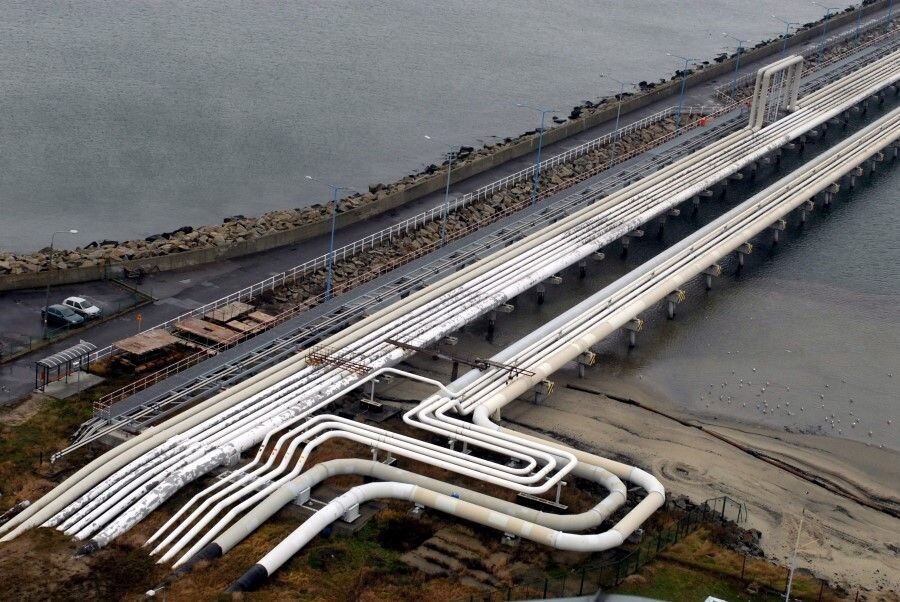     / Источник: © EPA/Barbara Ostrowska/ТАСС