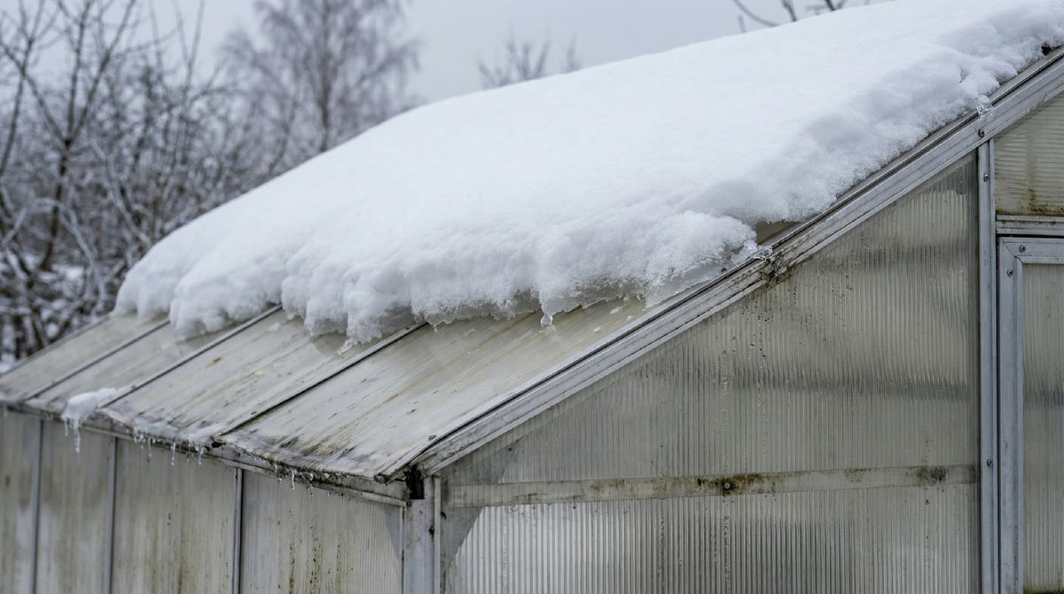 Снег на теплице