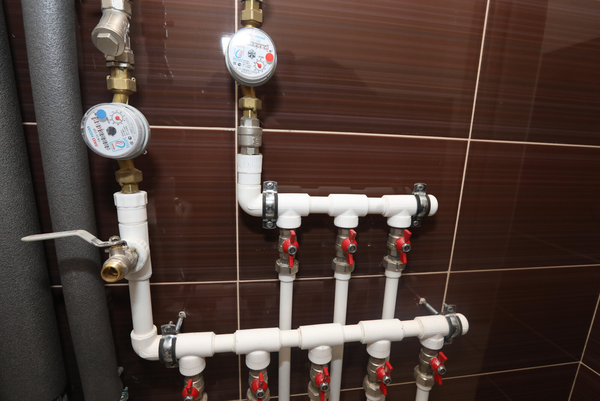 Фото: Александр Глуз