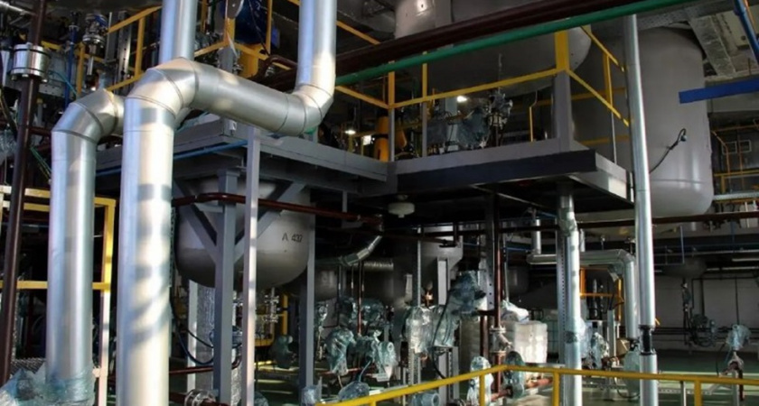    Фоото: пресс-служба регионального правительства