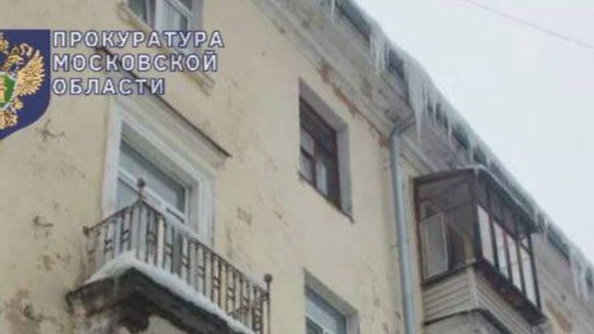    Фото: Прокуратура Московской области / Telegram