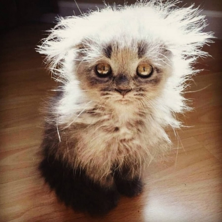 фото из интернета