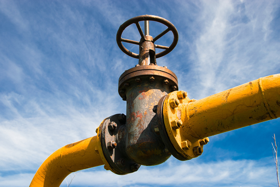    Shutterstock/FOTODOM