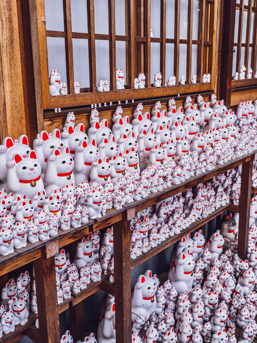 Автор статьи и фото: Алексей Моисеев / Фотозаписки партизана / @partyzzzan