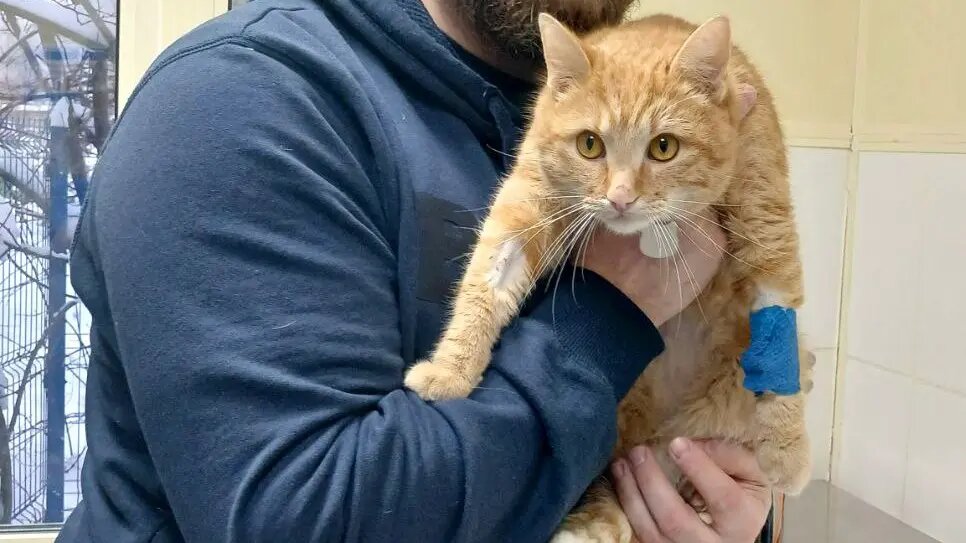    Фото: vm.ru Михаил Козлов