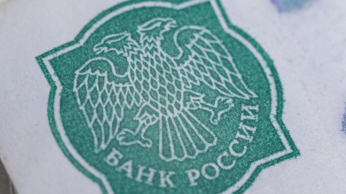    Фото: Сергей Зубков / «Ямал-Медиа»