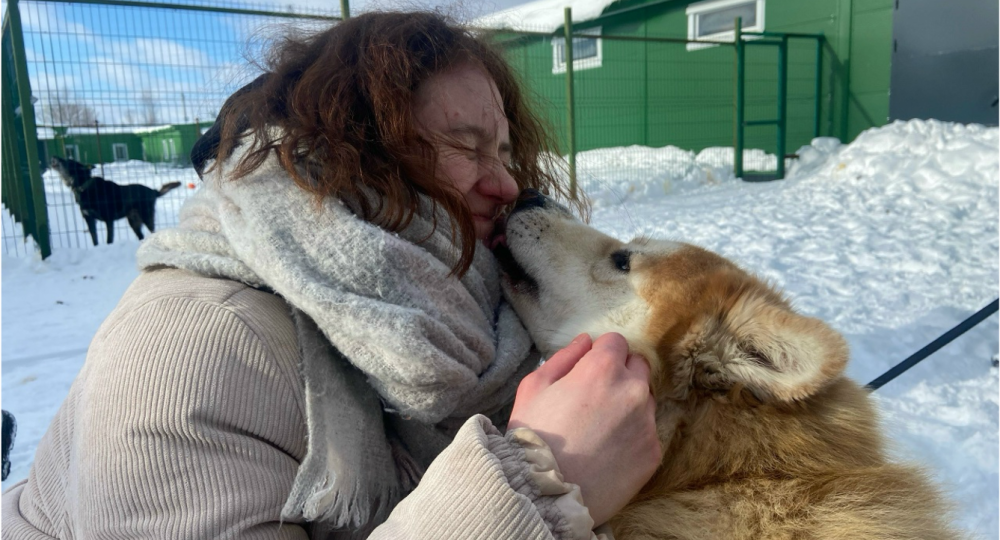 Надежда есть всегда: как ярославские волонтёры спасают животных
