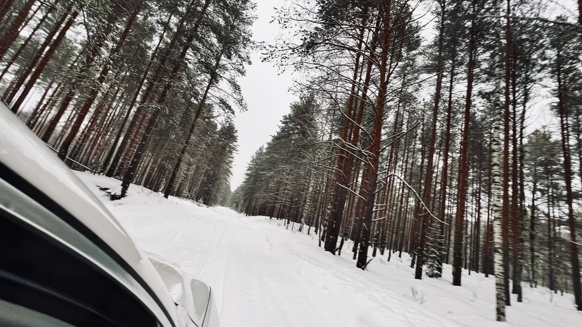 фото автора канала