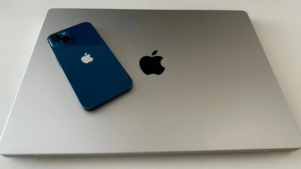    Фото: "Брянские новости"