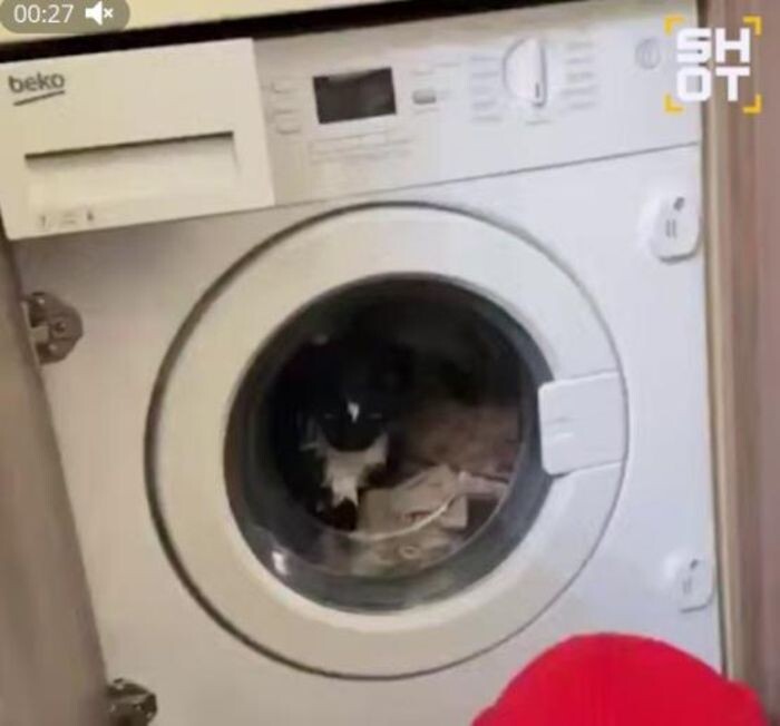 Иллюстрация: скриншот видео/ SHOT