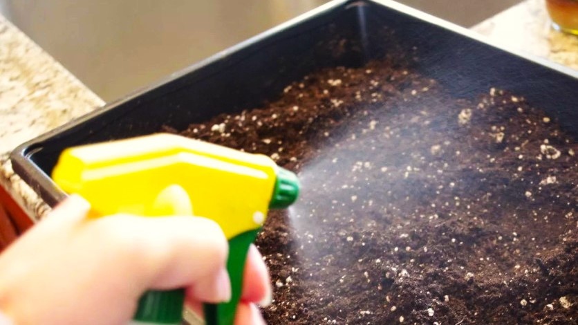 Опрыскивание из пульверизатора