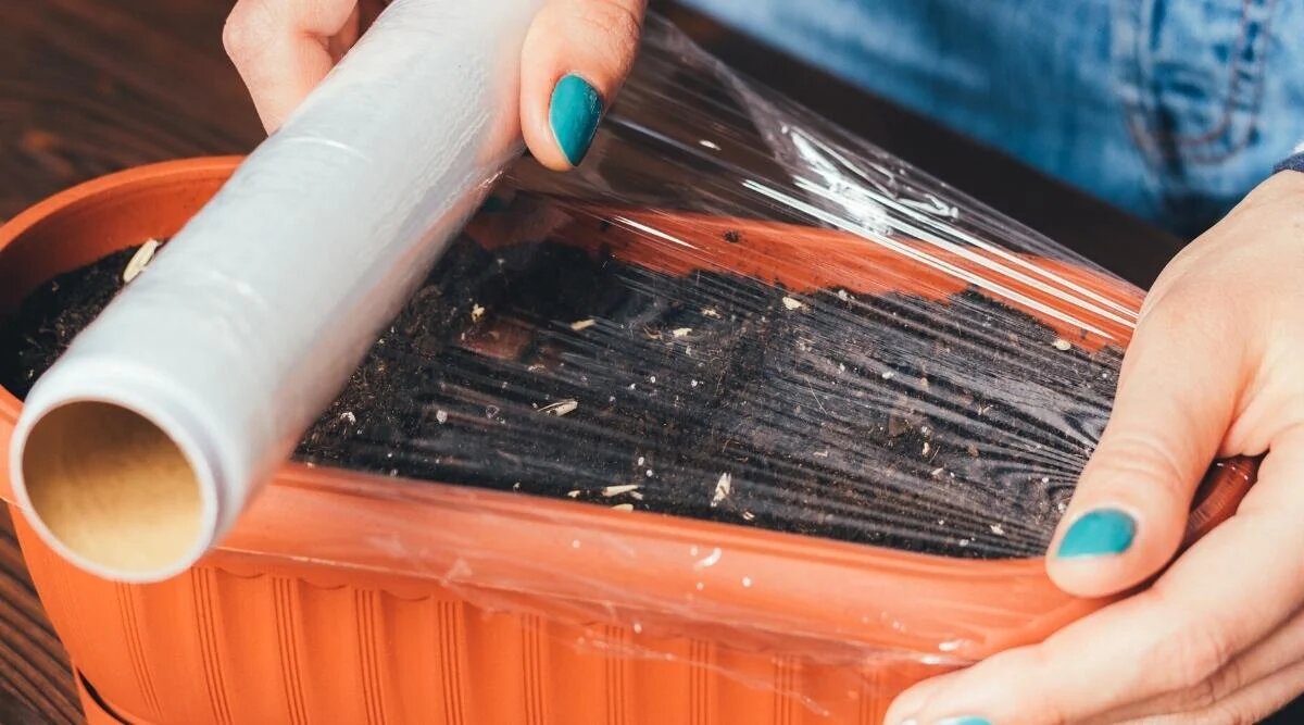 Пищевая плёнка