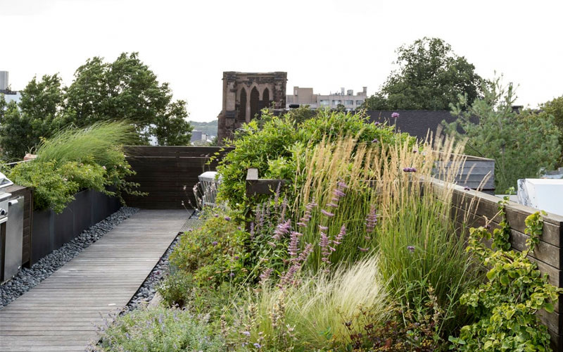 Неожиданные проверки земель: за что наказывают владельцев в 2026 году