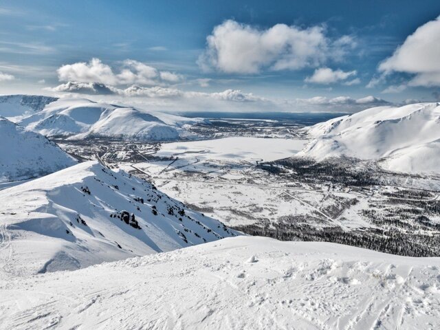    Фото: depositphotos/Simanovskiy