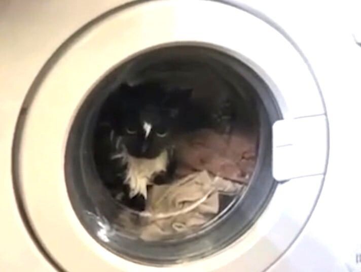     / Источник: Кадр из видео