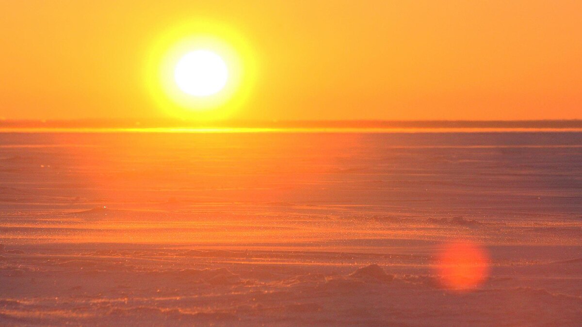    Фото: Zamir Usmanov/globallookpress.com