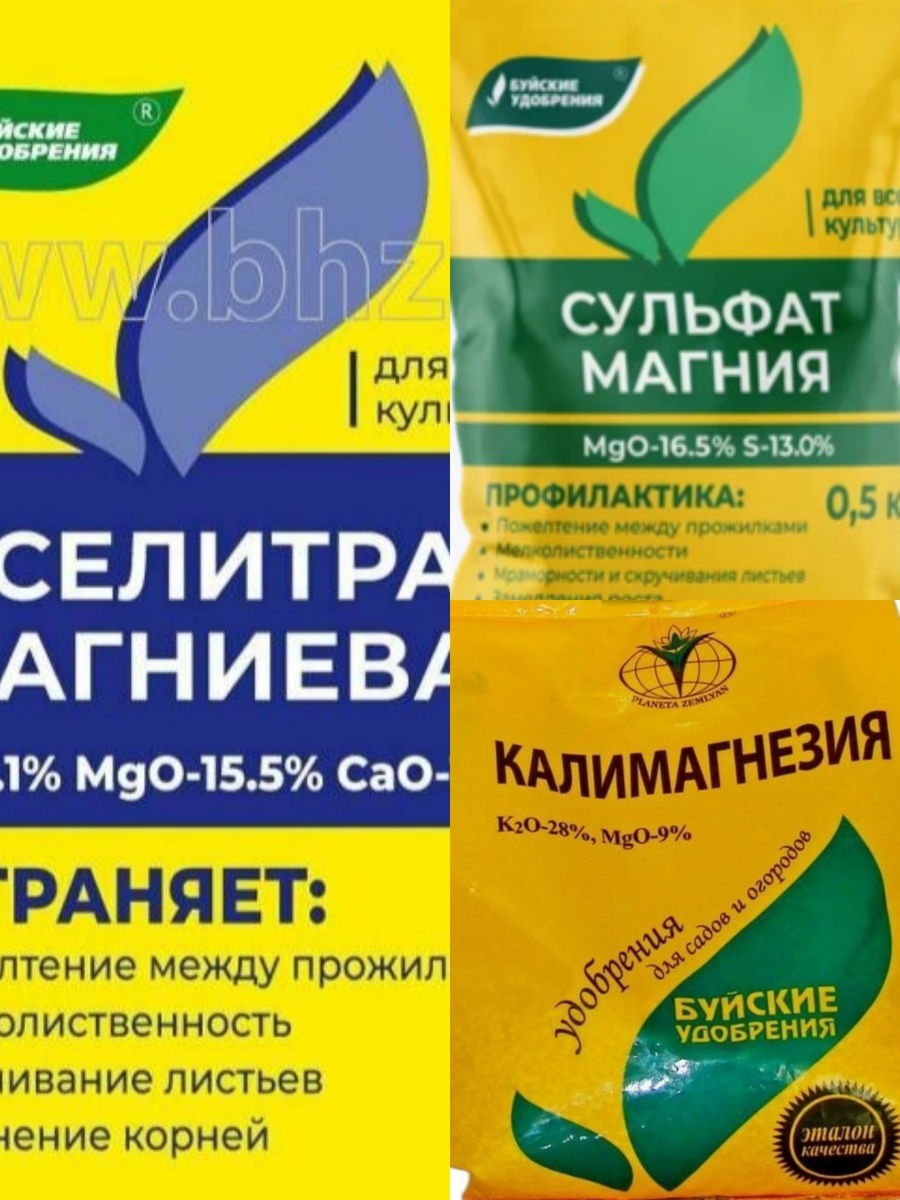 Коллаж автора. 