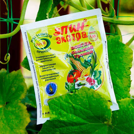 Эпин-Экстра: секрет, который спасает урожай в любой плохой год