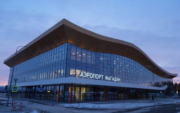 Импортные шмели для опыления тепличных культур Магаданской области и хищные клещи прошли проверку