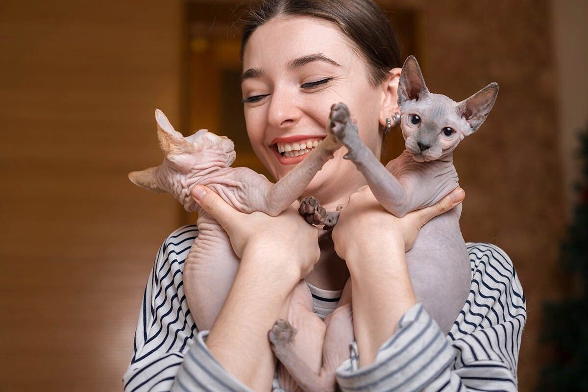 Если ищете преданного и общительного котика-«липучку», заводите бесшерстного. Источник: Pavel_Kostenko / Shutterstock / FOTODOM📷
